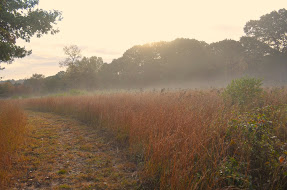 Scenic field, photo: S. Cardenas